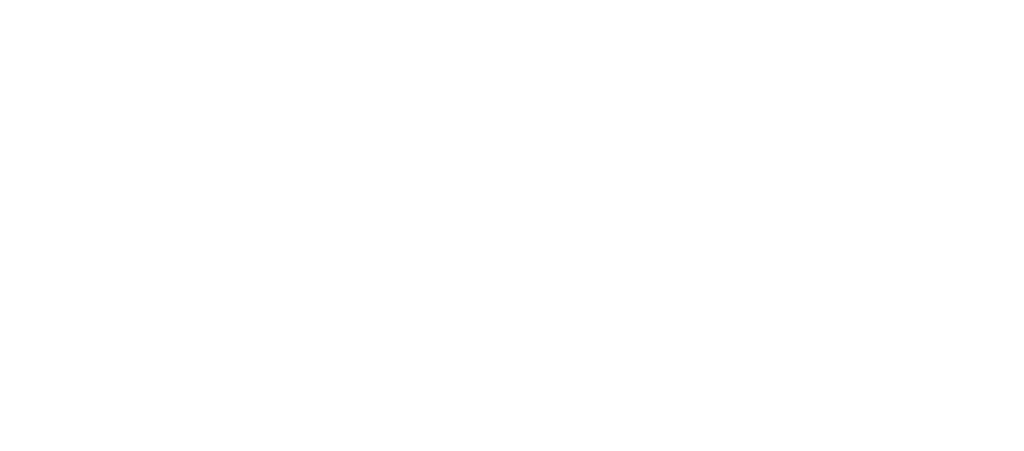 Shelving Concepts logo